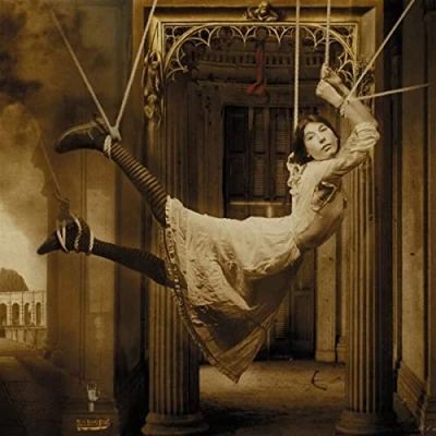 Afbeelding van Porcupine Tree Signify
