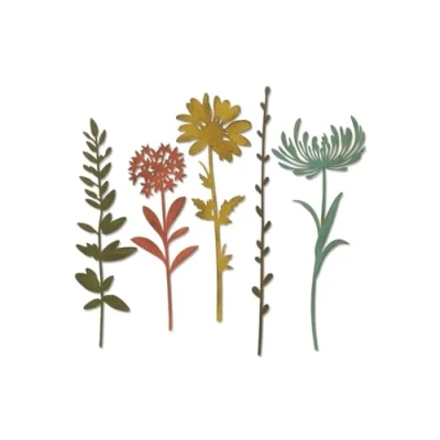 Afbeelding van Sizzix Thinlits Die Set 5PK Wildflower Stems #1 664163 Tim Holtz (01 19)
