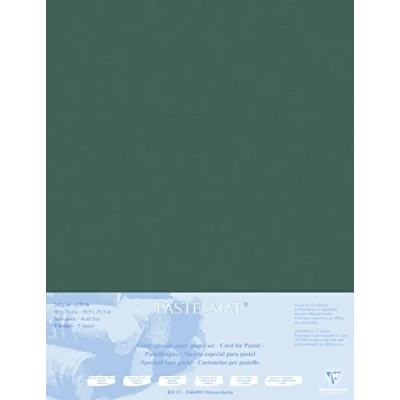 Afbeelding van Clairefontaine 496009C tekenvellen (verpakking met 5 vellen pastelmat op karton gelamineerd, 1800 µm, 50 x 70 cm, ideaal voor droogtechnieken en pastel) antraciet
