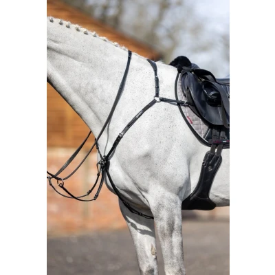 Afbeelding van Le Mieux Breastplate Detachable Martingaal bruin maat:cob