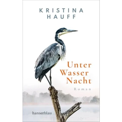 Afbeelding van Unter Wasser Nacht