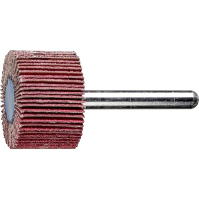 Afbeelding van PFERD 47802773 Lamellenschijf Diameter 30 mm 10 stuk(s)