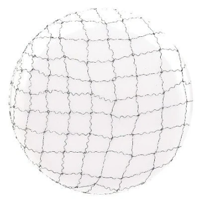 Afbeelding van Dagnet Nylon Hair Net 12 X 2st Grijs