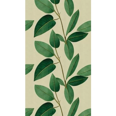 Afbeelding van Bladeren behang botanisch, vliesbehang groen bladeren, bijzondere voor woonkamer 398661, botanisch modern 39866 1, BRICOFLOR.nl
