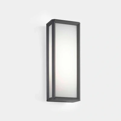 Afbeelding van LEDS C4 LED buitenwandlamp Skat, CCT, antraciet, aluminium