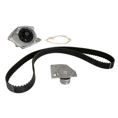 Afbeelding van SNR Distributieriem kit inclusief waterpomp KDP455.560