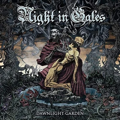 Afbeelding van Night In Gales Dawnlight Garden (LP)
