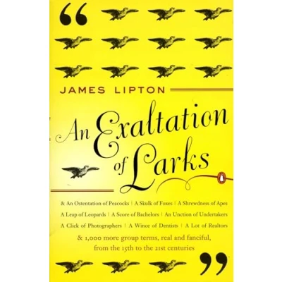 Afbeelding van An Exaltation of Larks