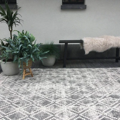 Afbeelding van Eva Interior Buiten vloerkleed Frost Grijs/Wit 240x340 cm