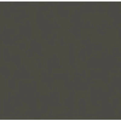 Afbeelding van Famaco Creme de Beaute schoensmeer 50ml grey souris (531)