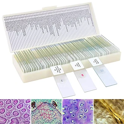 Afbeelding van LAKWAR 60 Microscoop Slides met Specimens voor Kinderen, Voorbereide Kids Microbiologie, Volwassenen