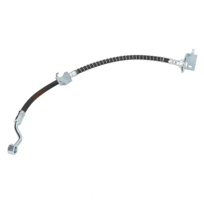 Afbeelding van Delphi Diesel Remslang LH7446