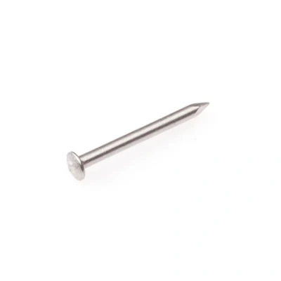 Afbeelding van RVS spijkers bolkop 2.4 x 45 mm 1 KG