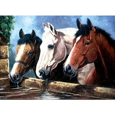 Afbeelding van Schilderen op nummer Junior &quot;drinkpaarden&quot;, doe het zelf schilderij ca. 40 x 32,5 cm groot, incl. 7 acrylverven, penselen en bedrukt schilderkarton, voor beginners kinderen vanaf 8 jaar