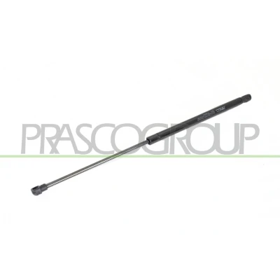 Afbeelding van Gasveer, kofferruimte PRASCO FT1229055