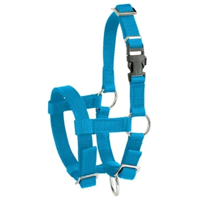 Afbeelding van Kerbl Alpaca halster verstelbaar, blauw, 20 mm PP