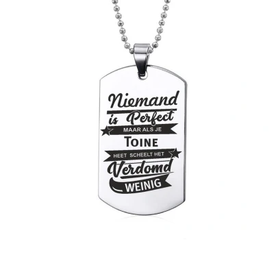 Afbeelding van Niemand Is Perfect Toine RVS Ketting