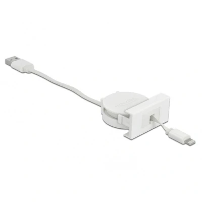 Afbeelding van Delock Easy 45 Module USB 2.0 Unwinder Kabel Type A naar 8 Pin Li