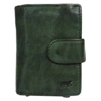 Afbeelding van Bear Design Pasjeshouders Bobby groen