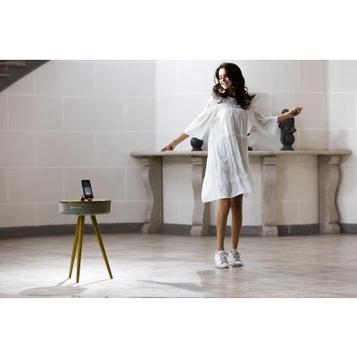 Afbeelding van FODOR Salora Airtable (AW) Bluetooth Speaker 360 Sound
