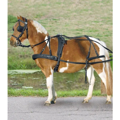 Afbeelding van Waldhausen Mentuig Nylon Zwart Pony