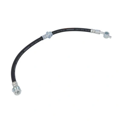 Afbeelding van Delphi Diesel Remslang LH6208