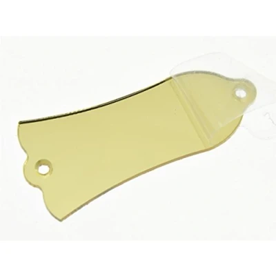 Afbeelding van KAISH Plastic Gouden Spiegel LP Gitaar Truss Rod Cover 2 Gat Past Gibson Stijl Les Pauls