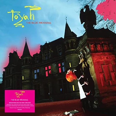 Afbeelding van Toyah Blue Meaning