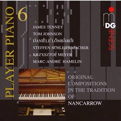 Afbeelding van Bosendorfer Ampico Selbstspielflugel Player Piano Vol. 6 (CD)