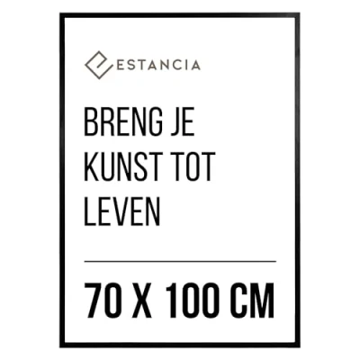Afbeelding van Zwarte Houten Fotolijst 70x100 cm met Onbreekbaar Plexiglas Grote Lijst Kader Zwart 70 x 100