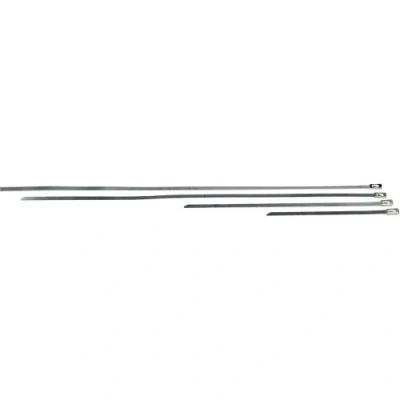 Afbeelding van HellermannTyton 111 93279 MBT27S 316 SS NA C1 Kabelbinder 681 mm 4.60 Zilver Met kogelsluiting 1 stuk(s)