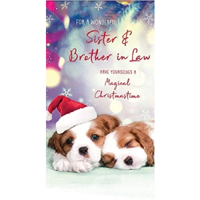 Afbeelding van Piccadilly Greetings Cute (Foto) Kerstkaart Zuster &amp; Broer in Law, paarsroodrozebeige,9 x 5&quot;