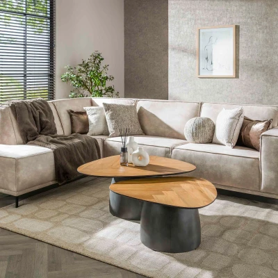 Afbeelding van Fraaai Nash salontafel set van 2 infinite gerecycled teakhout fineer Hout