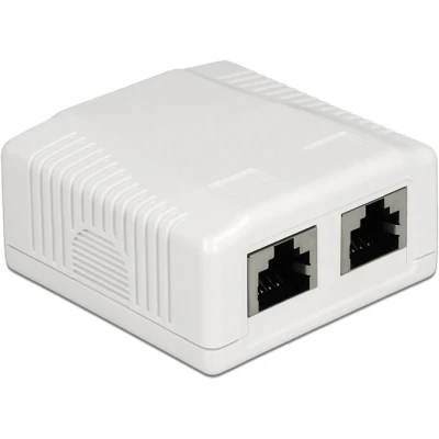 Afbeelding van Delock 86197 Netwerkstopcontact 2 poorts Cat.6A LSA