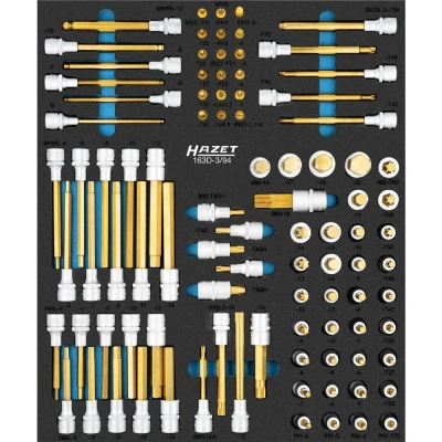 Afbeelding van HAZET Dopsleutelbitset 163D 3/94 · 94 delig 3? ?10 M5? ?M18 PH1? ?PH2 PZ1? ?PZ2 T15? ?T60