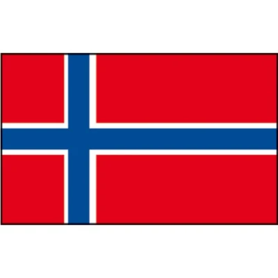 Afbeelding van Silerswaar Noorse Vlag 20x30
