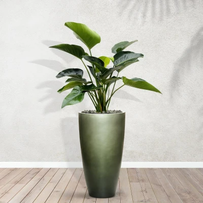 Afbeelding van Combideal Philodendron Green Beauty inclusief zelfwaterende pot Mace Matt Forest S 160cm