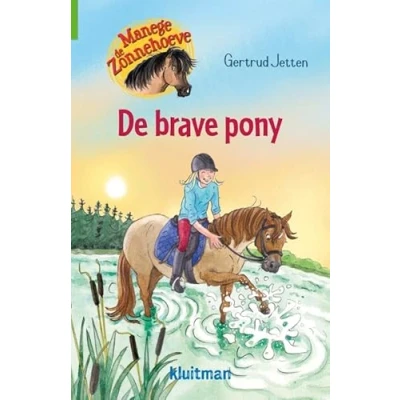 Afbeelding van Manege De Zonnehoeve brave pony