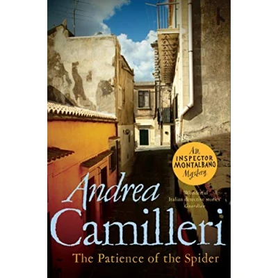 Afbeelding van the Patience of Spider