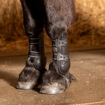 Afbeelding van Harry&#039;s Horse Peesbeschermers Pinlock Zwart Shetland