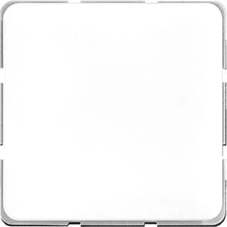 Afbeelding van Jung CD500 Schakelelement/Centrale Plaat 594 0 E2U46