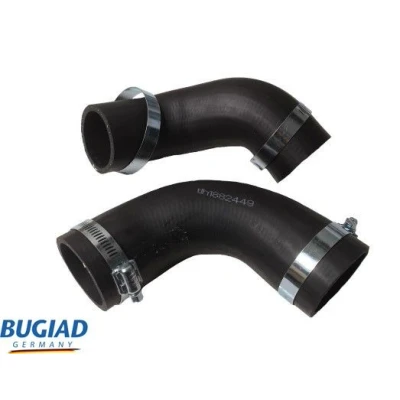 Afbeelding van Bugiad Laadlucht /turboslang 82449