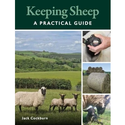 Afbeelding van Keeping Sheep: A Practical Guide