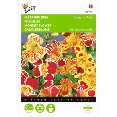 Afbeelding van Mimulus, Maskerbloem Queen’s Prize