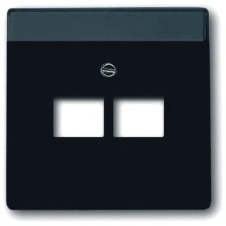 Afbeelding van Busch Jaeger mat zwarte centraalplaat voor datadoos 2 x RJ45 1803 02 885