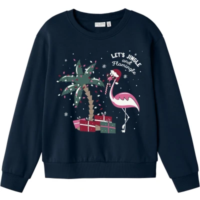 Afbeelding van NAME IT NKFVISMAS LS NREG SWEAT BRU Meisjes Trui Maat 146/152