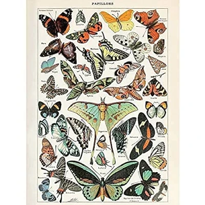 Afbeelding van Artery8 Millot Encyclopedia Page Variety Butterflies Unframed Wall Art Print Poster Home Decor Premium