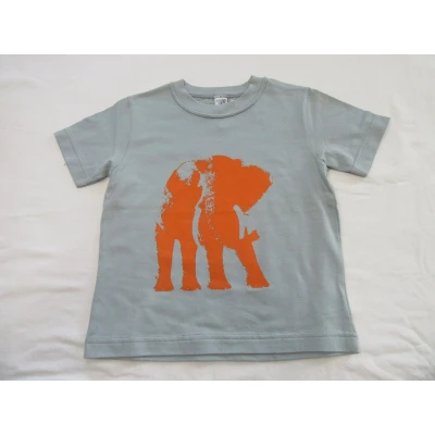 Afbeelding van petit bateau , jongens, t shirt korte mouw groen olifant orange 6 jaar 114