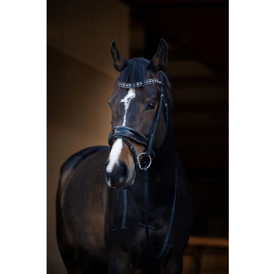 Afbeelding van HB Showtime Hoofdstel It Is So Specialverkocht door HypoStore