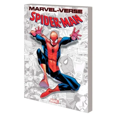 Afbeelding van MARVEL VERSE SPIDER MAN